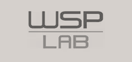 logo-wsp